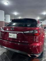 A picture of Owner needs money urgently
