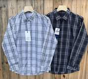 A picture of Cotton shirts