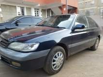 Muhu S.