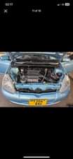 A picture of Vitz
