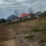 A picture of VIWANJA VIZURI VINAUZWA BUNJU