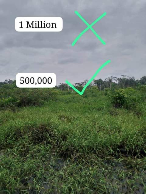 A picture of Land