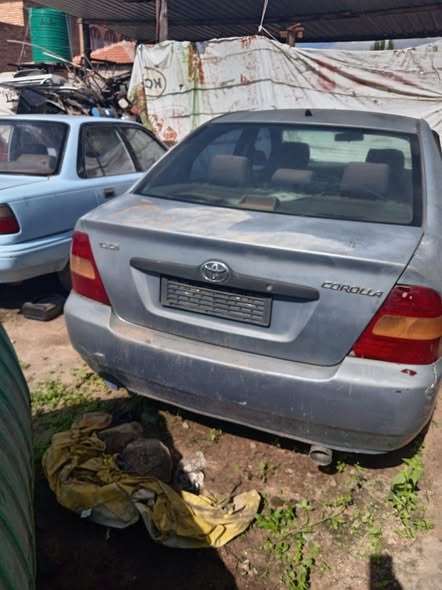 toyota corolla gli