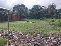 Land M.