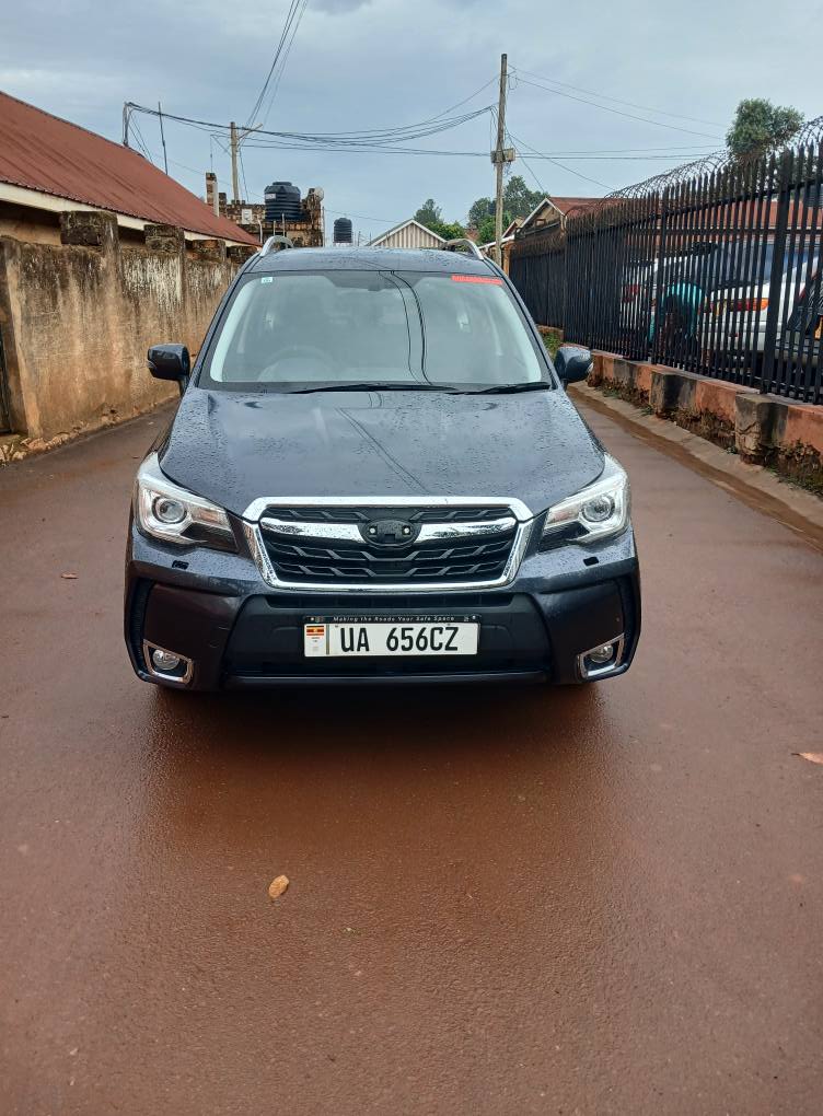 A picture of Forester 2016