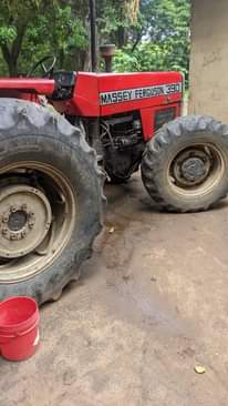 A picture of Massey fg