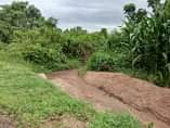 A picture of  14 Acres of Fertile lands available for sale in
