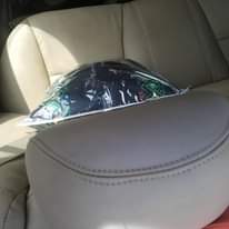 A picture of V4 Engine 2010 Honda Accord