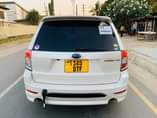 A picture of Subaru Forester