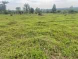 A picture of 50x100ft plots at 12m vvumba