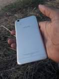 A picture of vivo y55