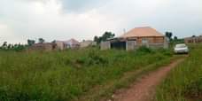 A picture of Plot on quick sale Size 25x50ft located matugga kiwebwa near