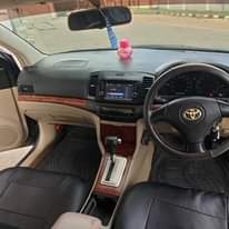 A picture of Premio new model