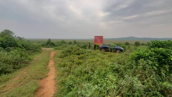 houses entebbe