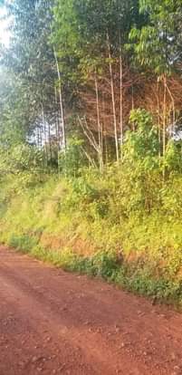 A picture of Land on sell with tittle