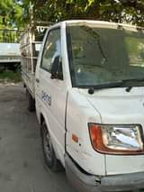 A picture of Ashok