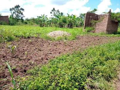 A picture of PLOT 68 125FT FOR SALE IN NAKASEKE KAPEEKA 4KM FROM