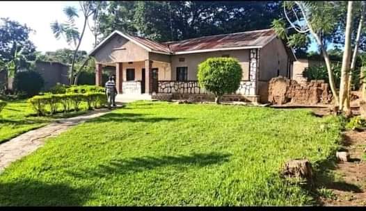 kinyinya accommodation