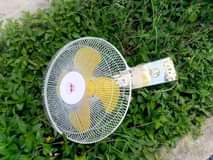 fans