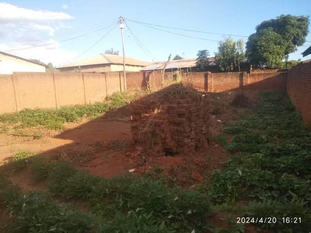 land