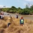 A picture of Saadani national park