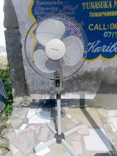 fans