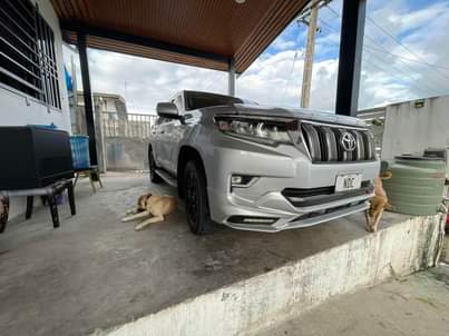 A picture of In Labasa