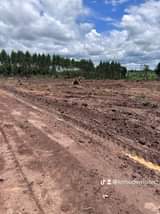 A picture of Cheap plots with titles in kakiri