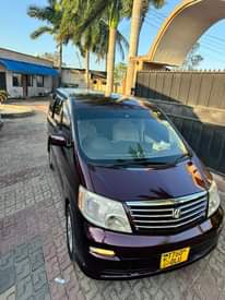 A picture of ALPHARD INAUZWA BEI ML 12.8 0712445511