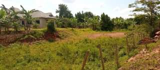 A picture of 30 decimals at 60m Kiwenda
