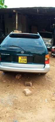 A picture of 0703704731