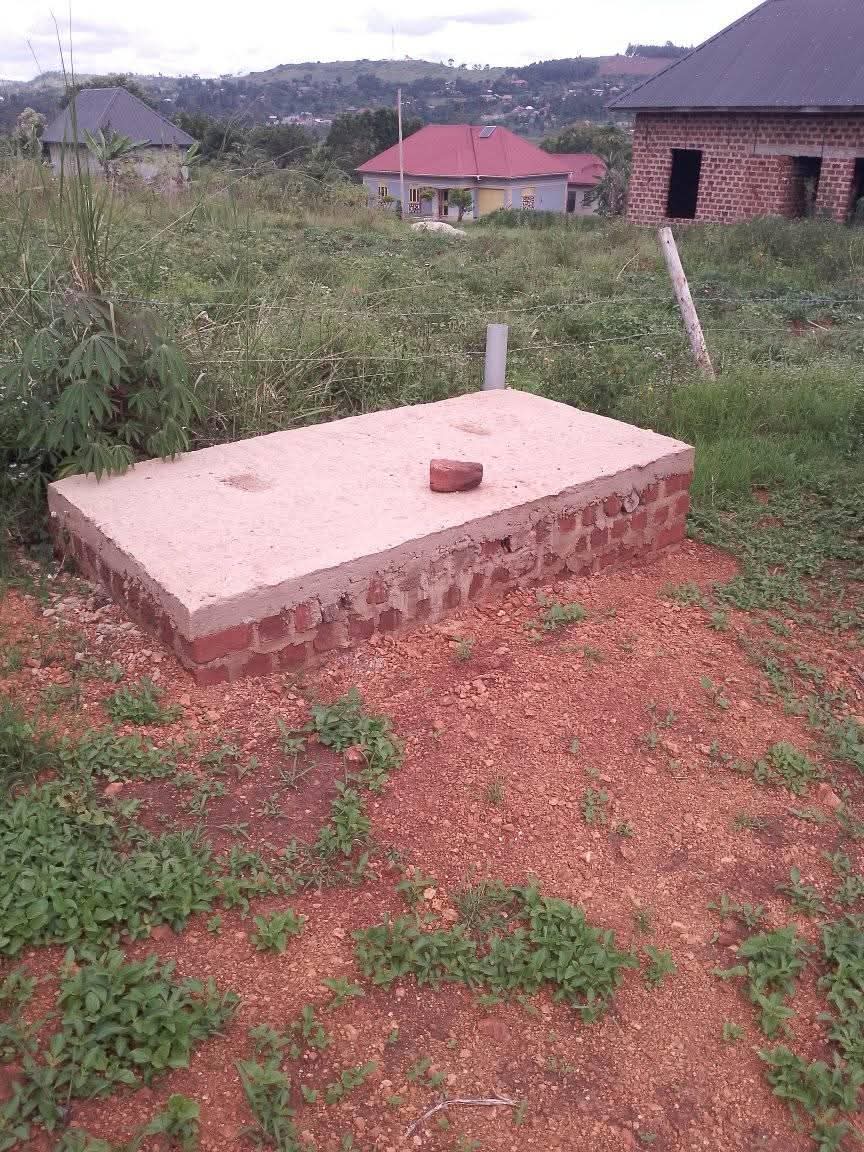 A picture of Plot and house