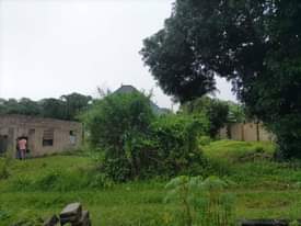 A picture of Kiwanja kiwanja