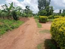 Ssentumbwe B.