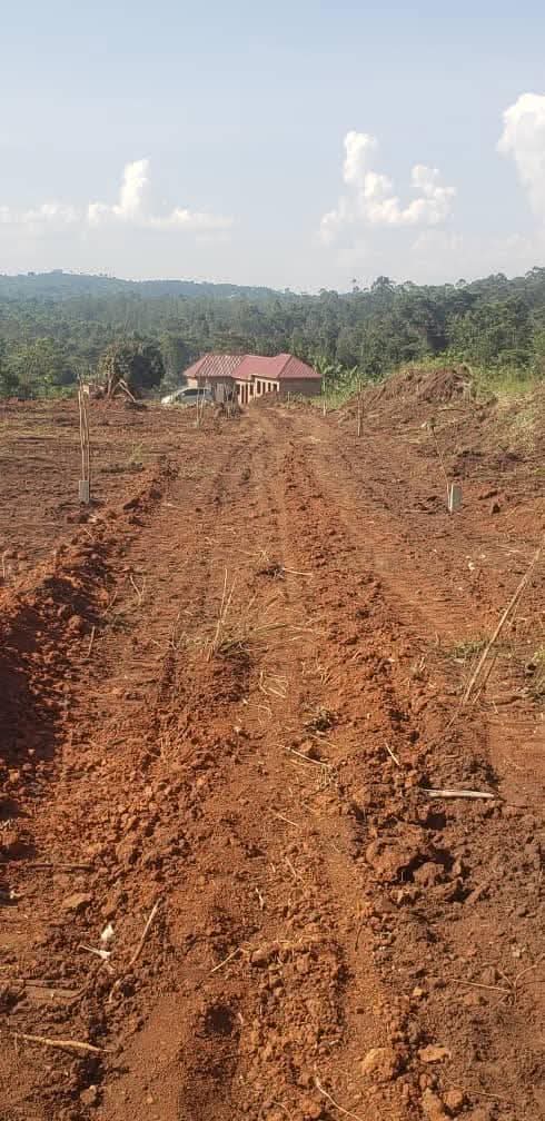 uganda plots