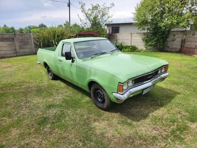 Classic,Muscle A.