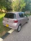 A picture of Vitz