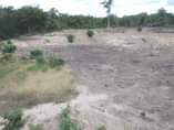 A picture of SHAMBA HEKA 10 TSH 3 000 000 LOCATION MZENGA ZEGERO