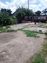 stands