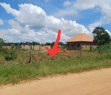 houses matugga