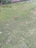 A picture of Nauza Kiwanja changu