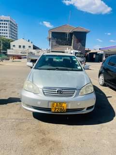 used toyota corolla