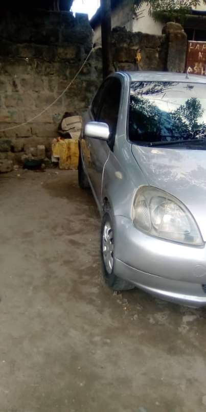 A picture of Vitz