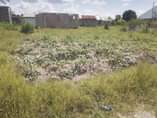 A picture of KINAUZWA MILIONI 4 500 000