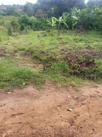 A picture of Plot in kijjo for sale