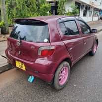 A picture of Vitz