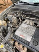 A picture of 2004 highlander buy and