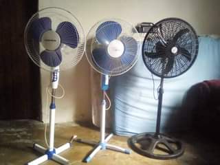 fans