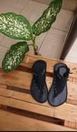 A picture of Craft shoes for women
