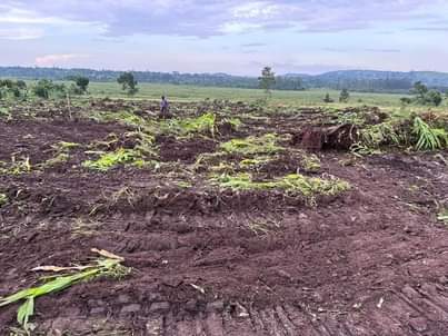 A picture of New Affordable estate Wakiso Namayumba Own 50 100ft 7 000
